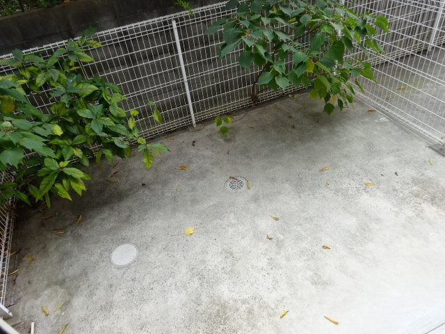 メゾン　ド　エムのバルコニー