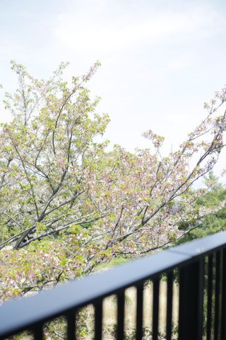 東浦ガーデンヒルズあじさいクレストの展望
