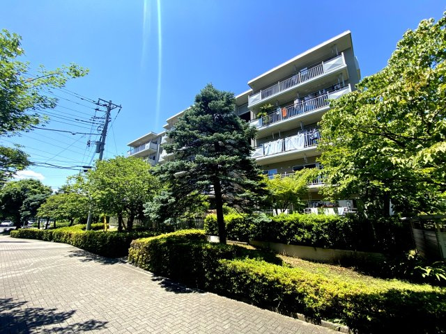 の-の画像