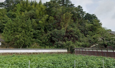 【外観】 | 丹波篠山市畑宮　山林