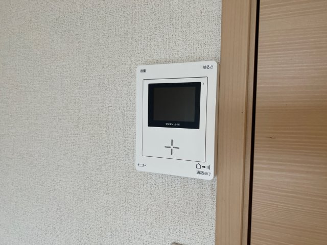フィオレンティーナのセキュリティ