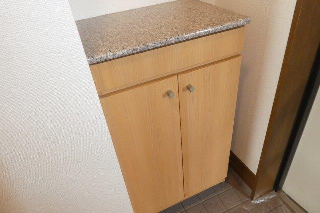 Demainの内装|シューズボックス