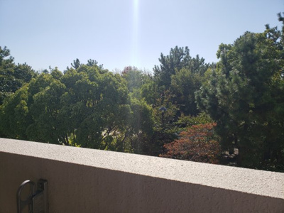 【展望】 | パインコート平磯 | 平磯公園が見えます☆神戸市垂水区　パインコート平磯☆