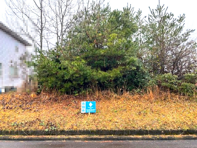 東近江市蒲生堂町68坪土地の外観