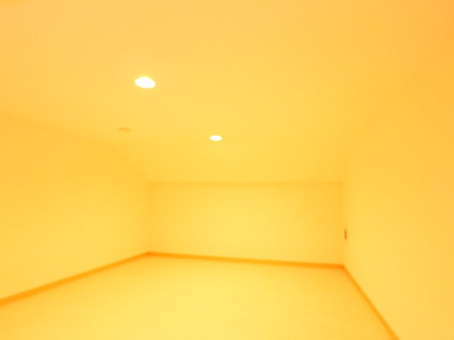 パレ・グリフォンのその他|ﾛﾌﾄ