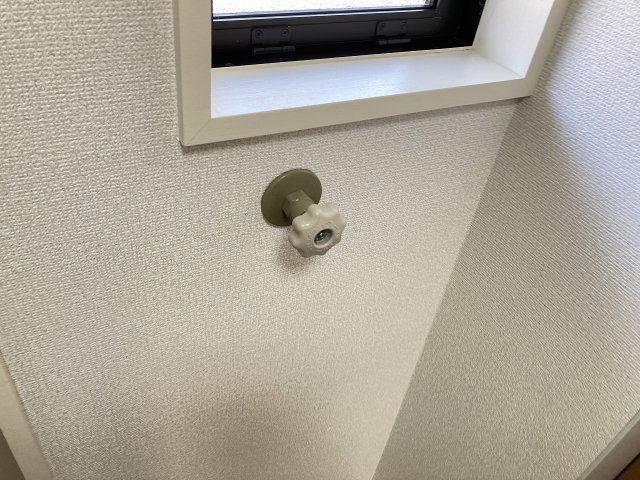 ラムセスAユニのその他