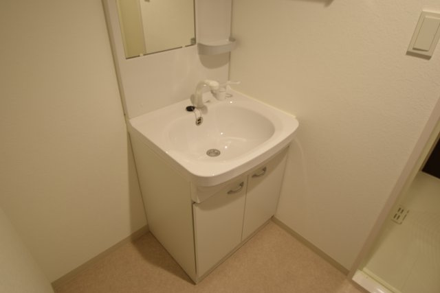 S-FORT船橋海神Eastの洗面所|シャンプードレッサーです