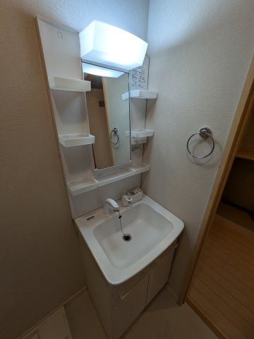 アミルV番館の洗面所