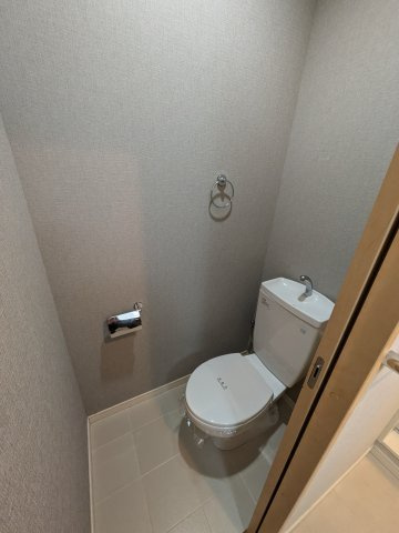 アミルV番館のトイレ