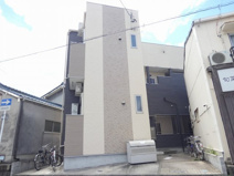 エクセラン白鳥の画像