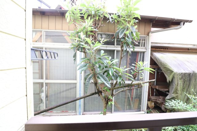 Y's向ヶ丘の展望