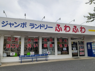 【周辺】 | ジョリー柏