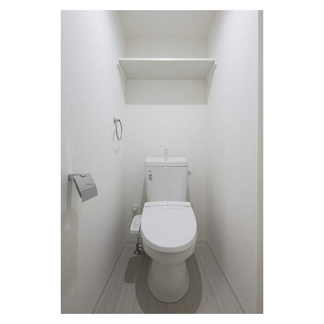 カメリア本町のトイレ|トイレも気になるポイント