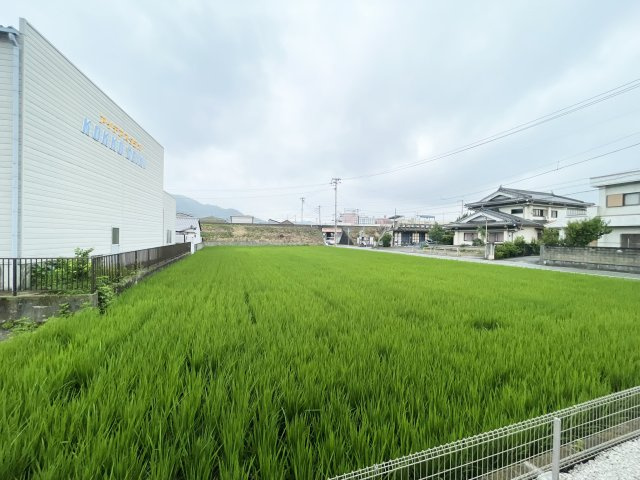HICOIの展望