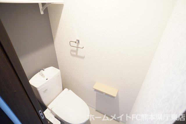 熊本市東区長嶺南２丁目の賃貸マンションのトイレ