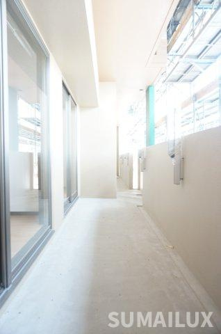 熊本市南区田井島２丁目の賃貸マンションのバルコニー