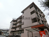 サンハイム玉櫛の画像