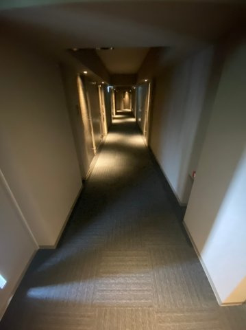 ＴＨＥ　ＰＡＬＭＳ千葉中央のロビー