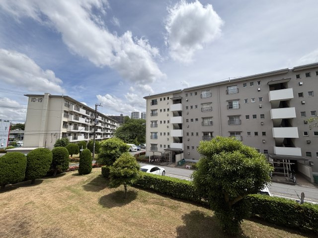 の-の画像