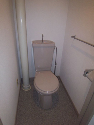 【トイレ】 | ダイナコート平尾山荘通り | 別号室の写真になります。現況優先。