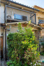吉田下大路町　中古テラスハウス【2025年６月改装済】の画像