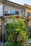 吉田下大路町　中古テラスハウス【2025年６月改装済】の画像