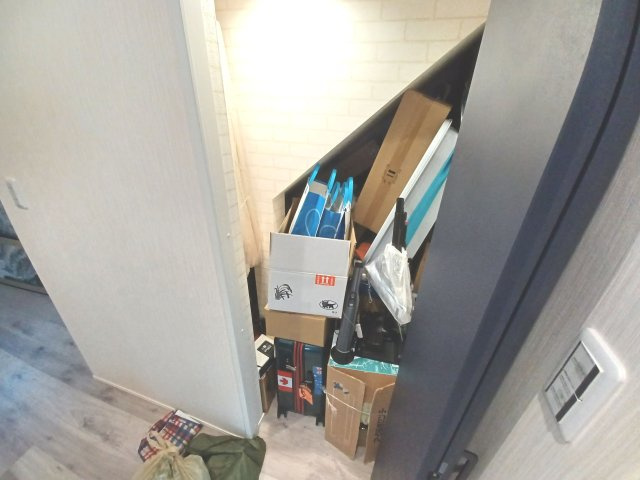 比企郡川島町大字中山 中古戸建の収納|階段下収納