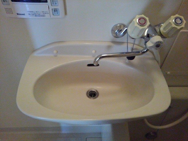 メゾンアサバの洗面所