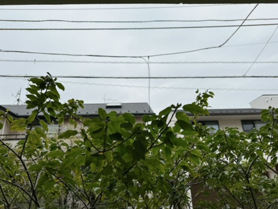 【展望】 | 明日香新町