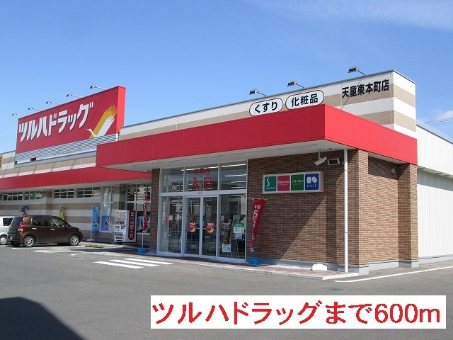 ノッテ・ステラータのその他|その他