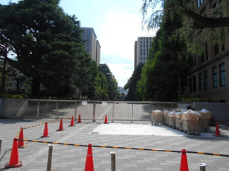 大学