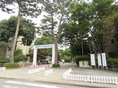 大学
