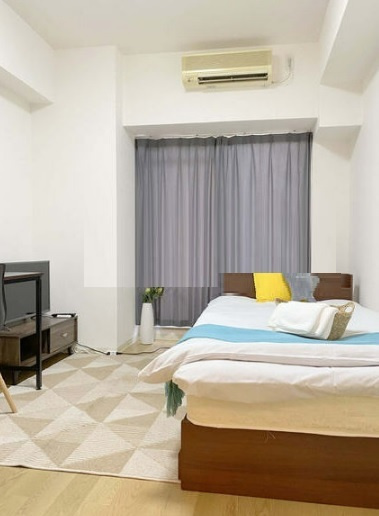 大阪市中央区松屋町の賃貸マンションの内装