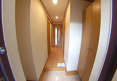 和泉市伯太町５丁目のアパートの玄関|明るい玄関です