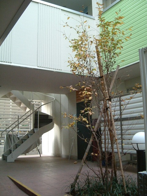 Ｊ－ｈｏｕｓｅ代々木のその他共用部分