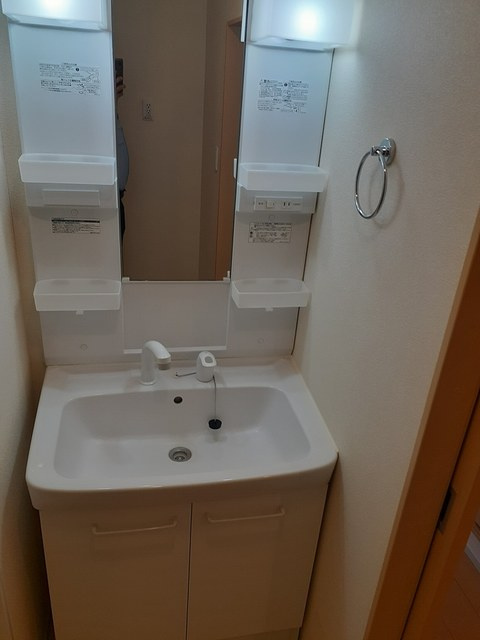 フォルトゥーナCの洗面所