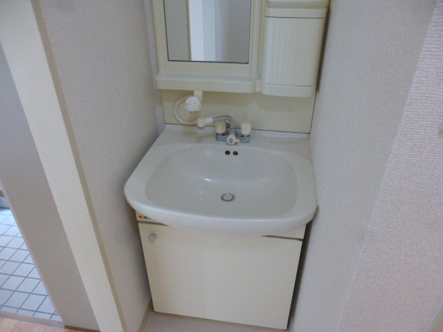 メゾンさつきの洗面所