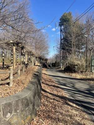 【周辺】 | 藤岡市藤岡　中古物件 | 物件の前面道路
