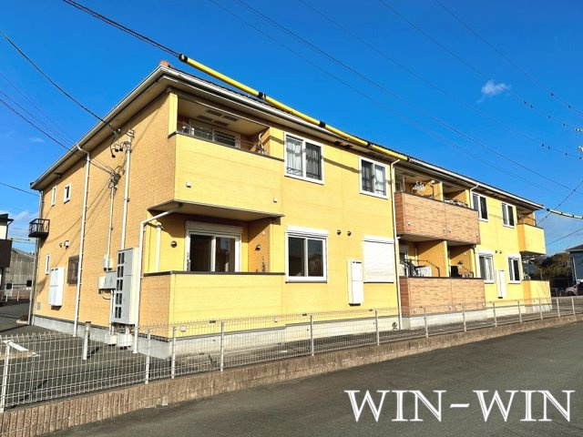 ブルック 菅池