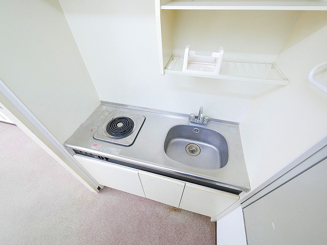 ヴィルドミール三条のその他