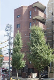 ＣＡＳＡＤＥＦＬＯＲＡの画像