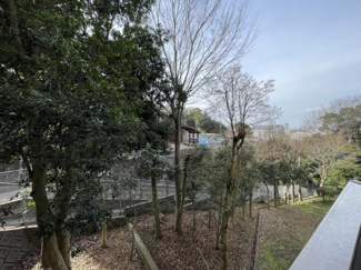 【展望】 | 動植物園がある南公園近くの緑たっぷりの景色が広がります