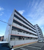 ピーチフローレ６ｔｎの画像