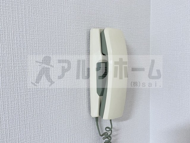 ルネアルマーニのセキュリティ