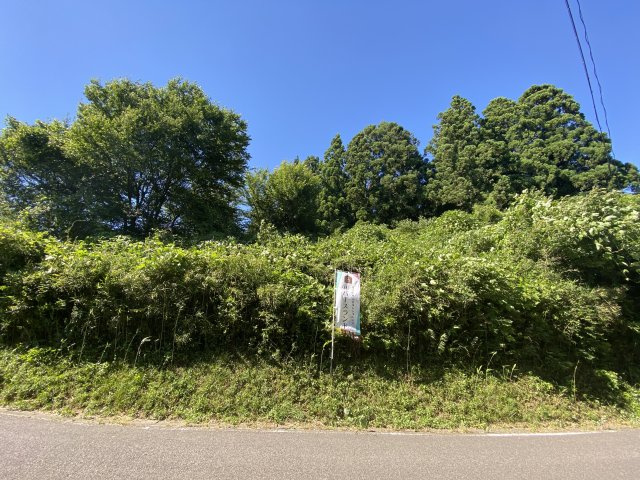 西田町芹沢字妻　土地