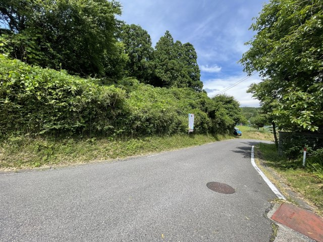 西田町芹沢字妻　土地の外観