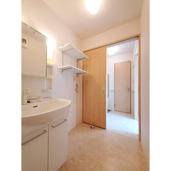 メゾン ドリーム【キャンペーン対象物件】の洗面所|脱衣スペースもあります