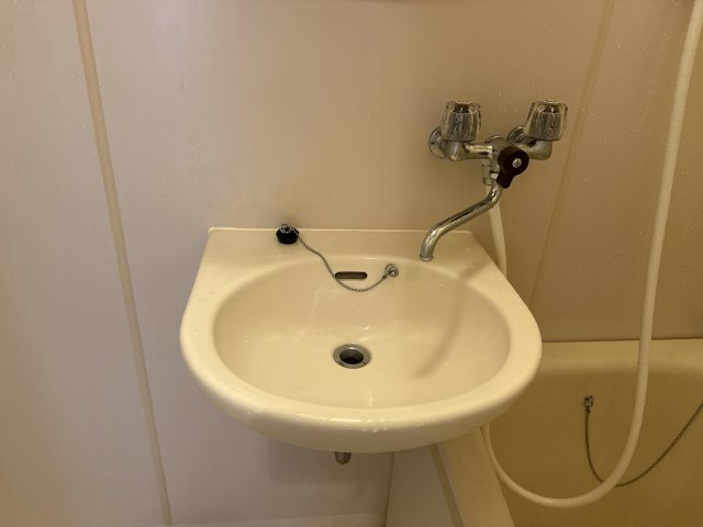 ファミリーハイツの洗面所