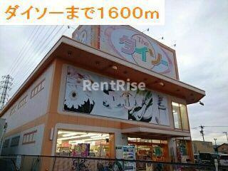 プリムローズのその他|その他