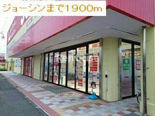 プリムローズのその他|その他